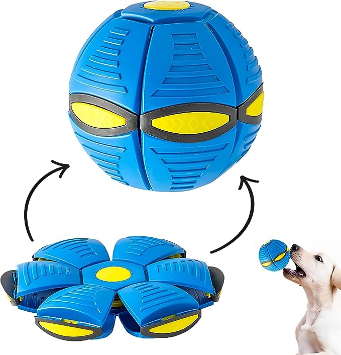 🐶 Secador De Mascotas 2 En 1 + pelota voladora de regalo 🎁