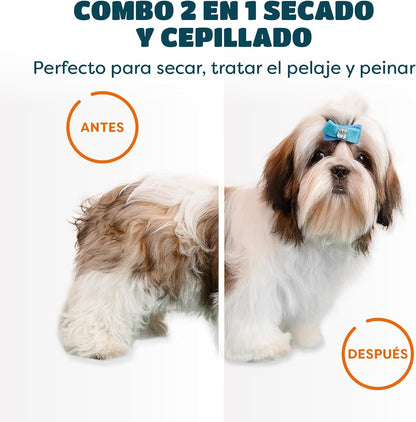 🐶 Secador De Mascotas 2 En 1 + pelota voladora de regalo 🎁