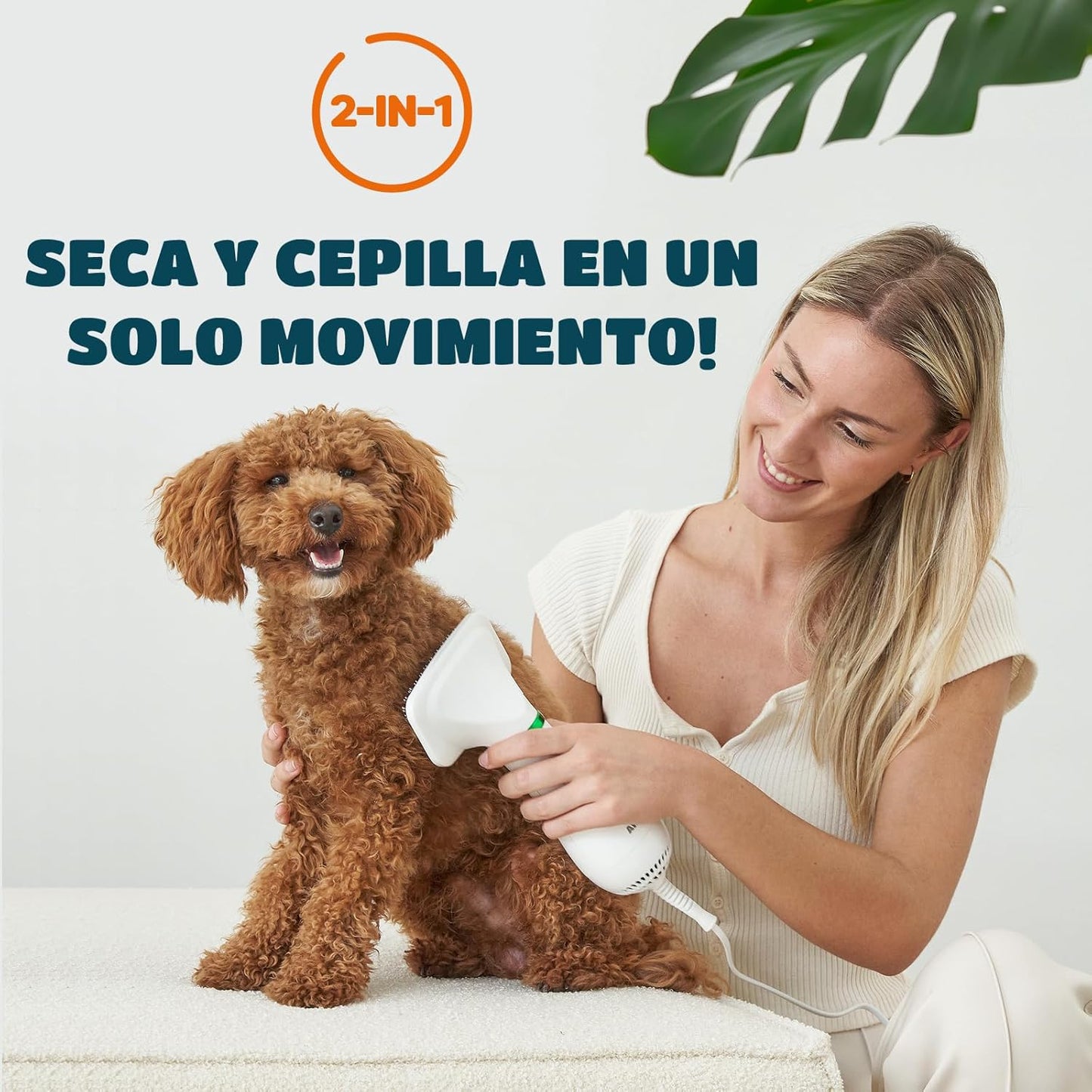 🐶 Secador De Mascotas 2 En 1 + pelota voladora de regalo 🎁